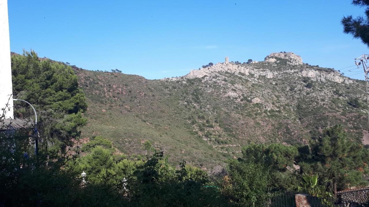 Apartamentos Christina Benicassim Exterior photo